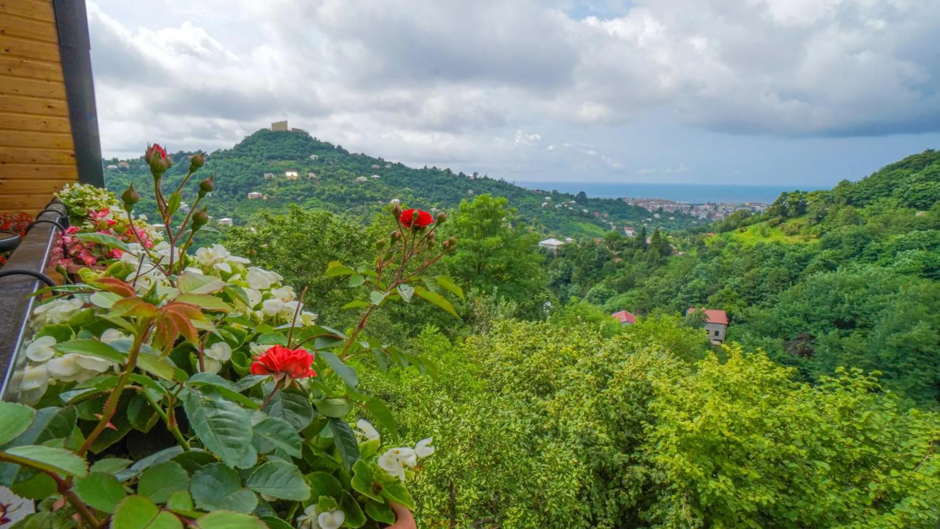 Heaven Villa Pheria Batumi Gruzie