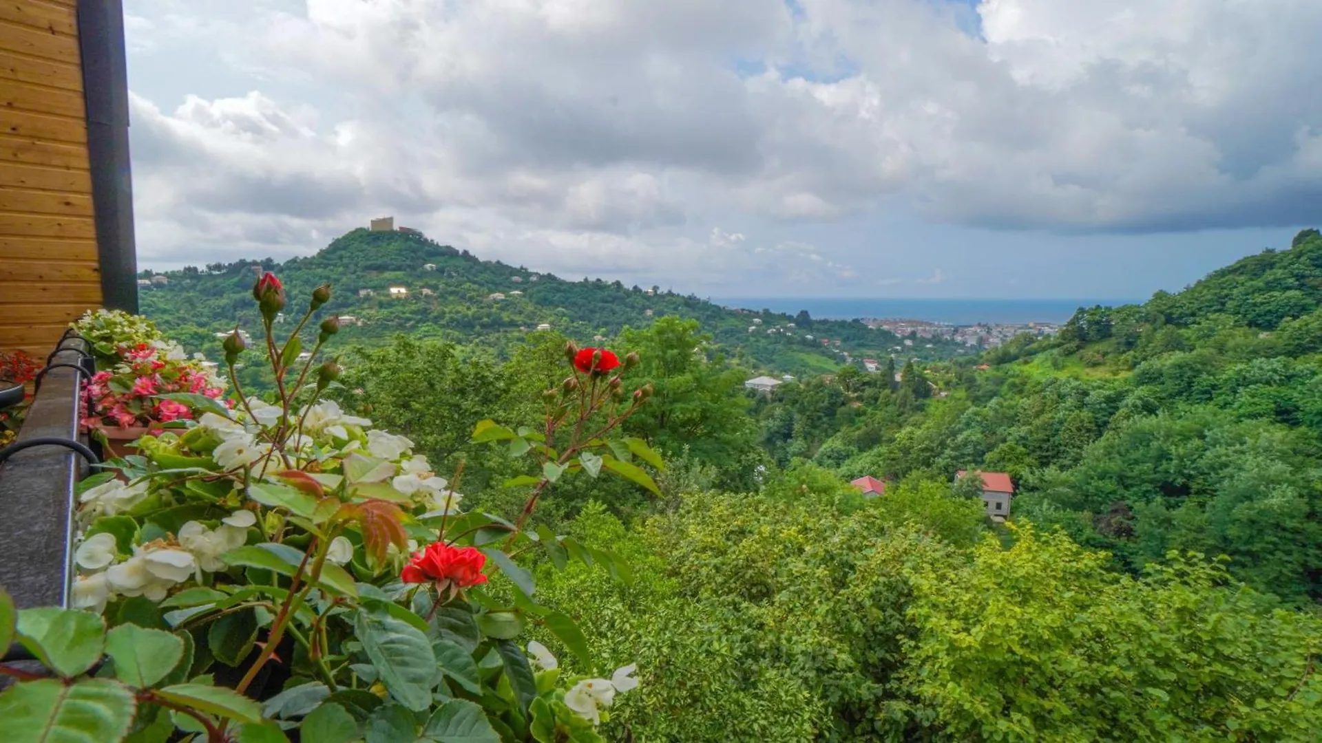 Heaven Villa Pheria Batumi