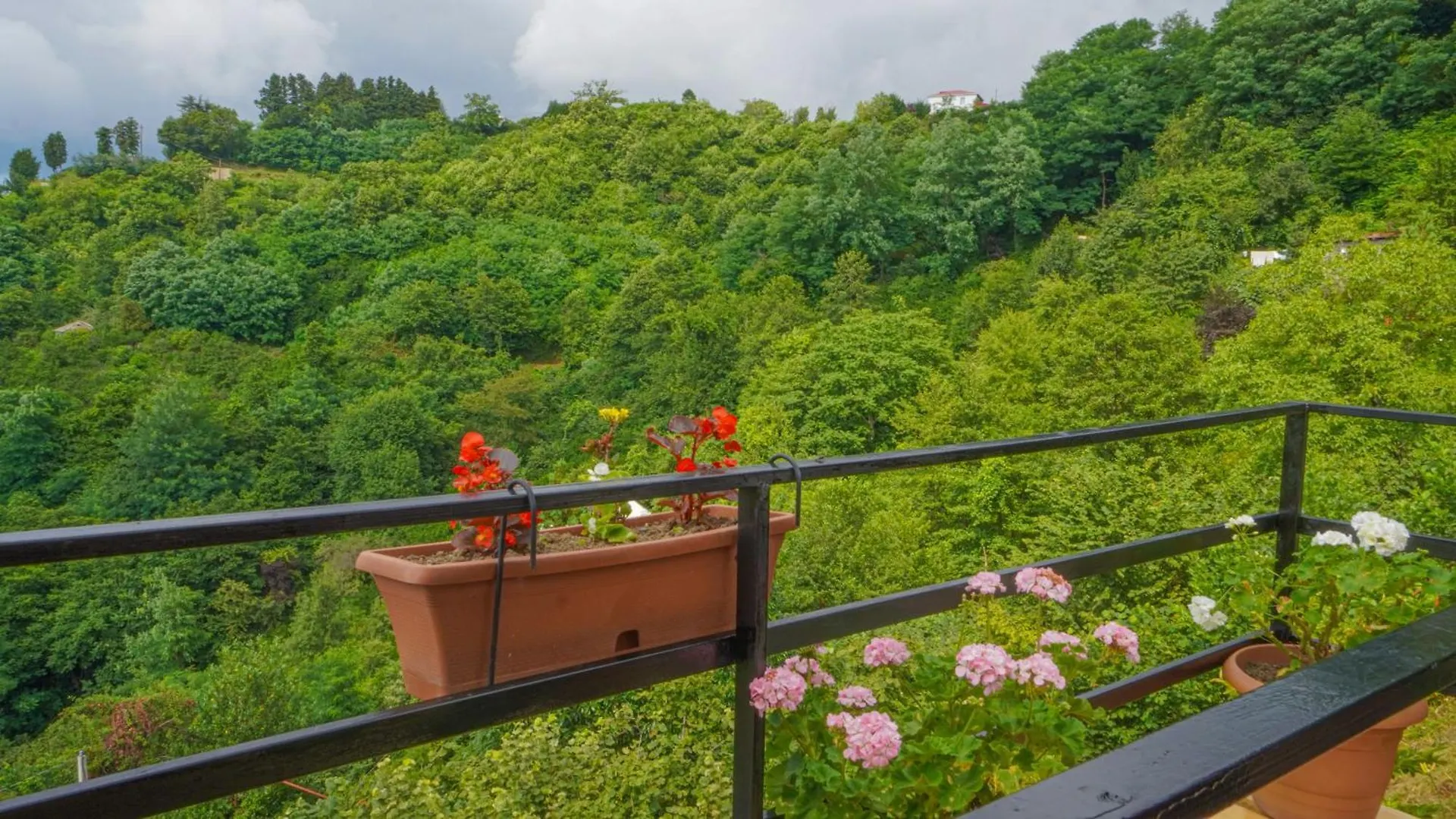 Heaven Villa Pheria Batumi